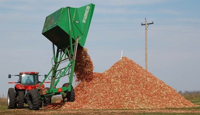 
              FILE - In this Oct. 30, 2007 file photo, a dump wagon adds freshly gathered corn cobs to a pile on a farm near Hurley, S.D. After decades of talk, the ethanol industry is building multi